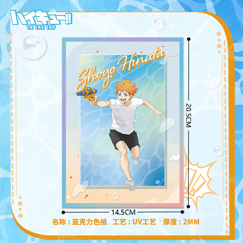 Haikyuu volley-ball Anime acry - Anime Merchandise Haikyuu avis et prix