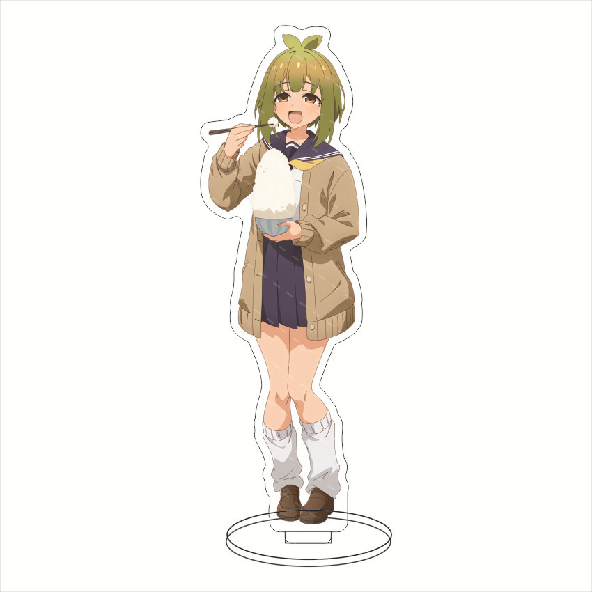 Figurine Anime en Acrylique de - Anime Merchandise Collection avis et prix